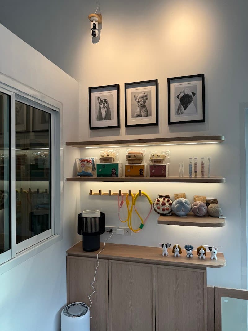 Houndy and Co. (Pet Grooming)