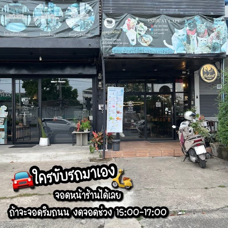 Indicat Cat Café