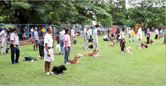 K9 Police Dog Training School