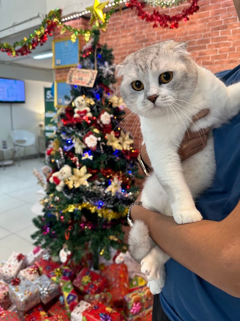 โรงพยาบาลสัตว์คชาเว็ท (Kachavet Pet Hospital)