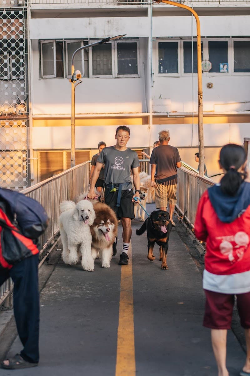 ฝึกสุนัข Kazuberian