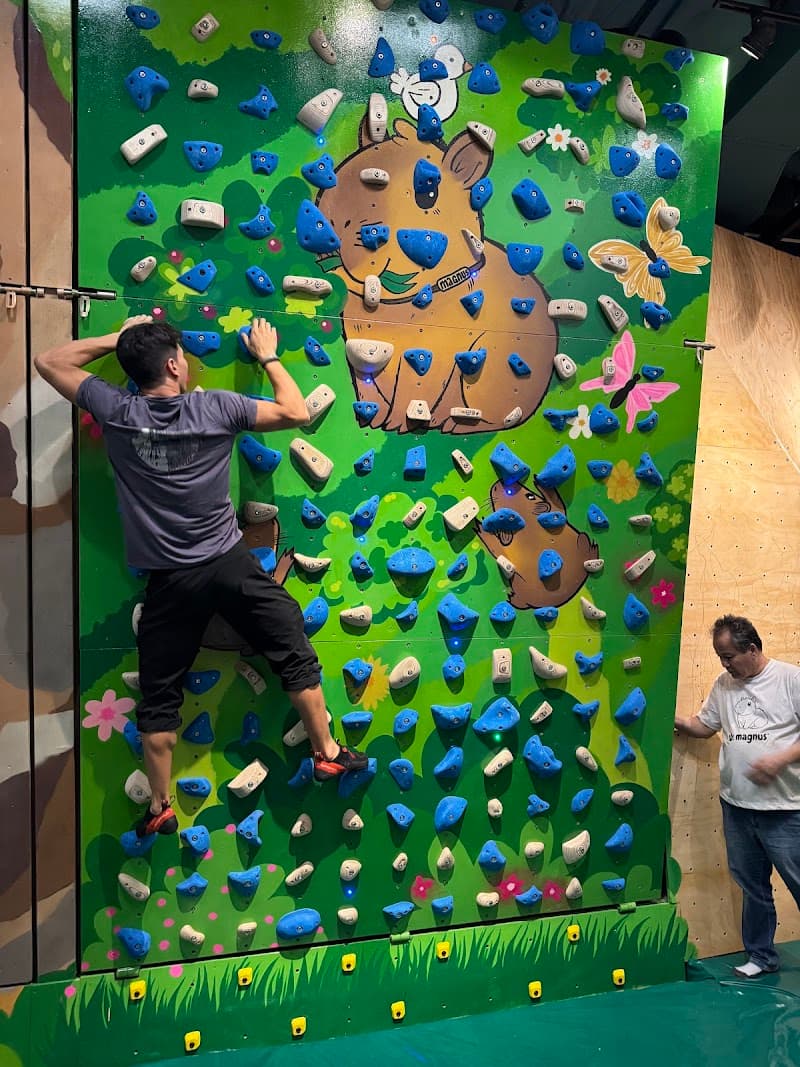 Magnus' Climbing Gym – open 24 hours with kilter, moon, and tension2 boards. capybara themed