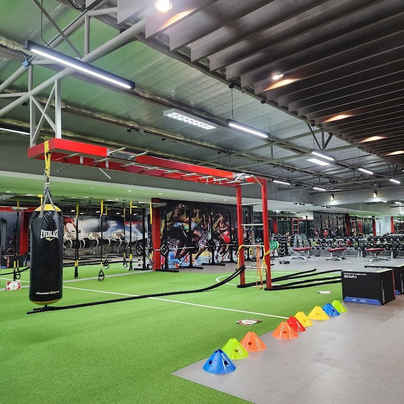 Maxfit Bearing แม็กฟิต