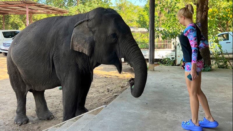 N Bangkok Best Tour Co., Ltd.