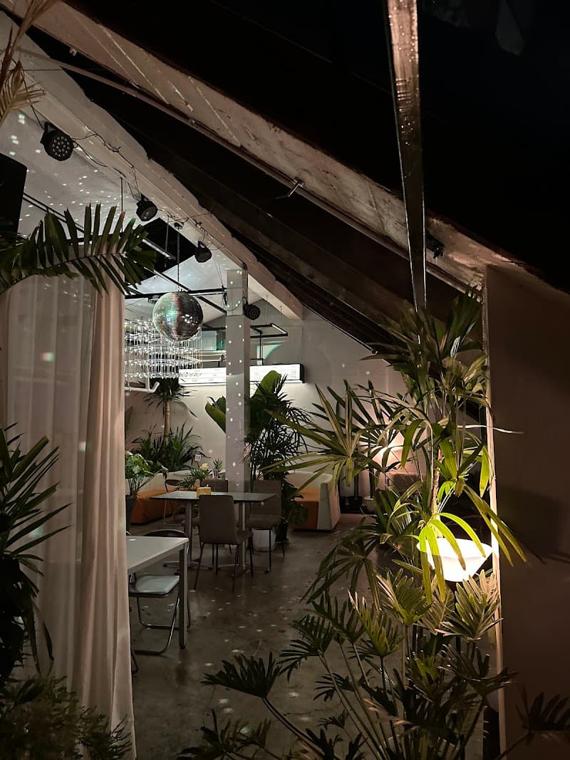 Ninetails on Radio Cafe & Bar