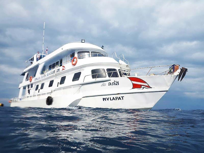 No Troubles Just Bubbles