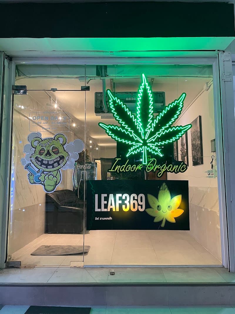 NZ BUDS Cannabis – Asoke(LEAF369)