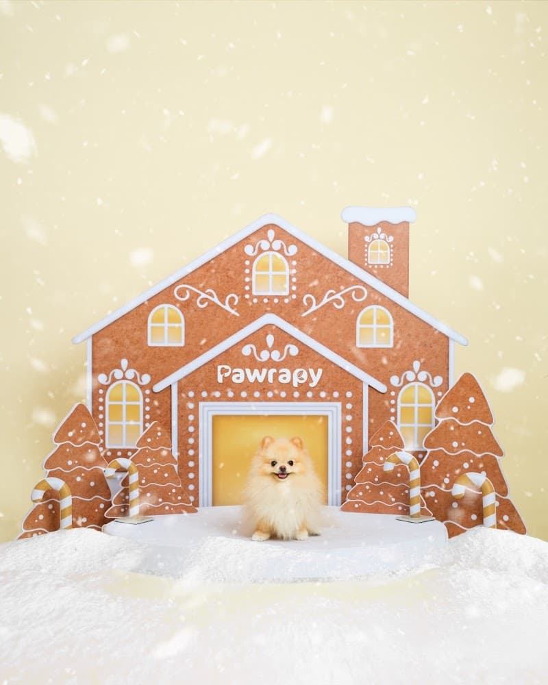 Olive Grooming Studio