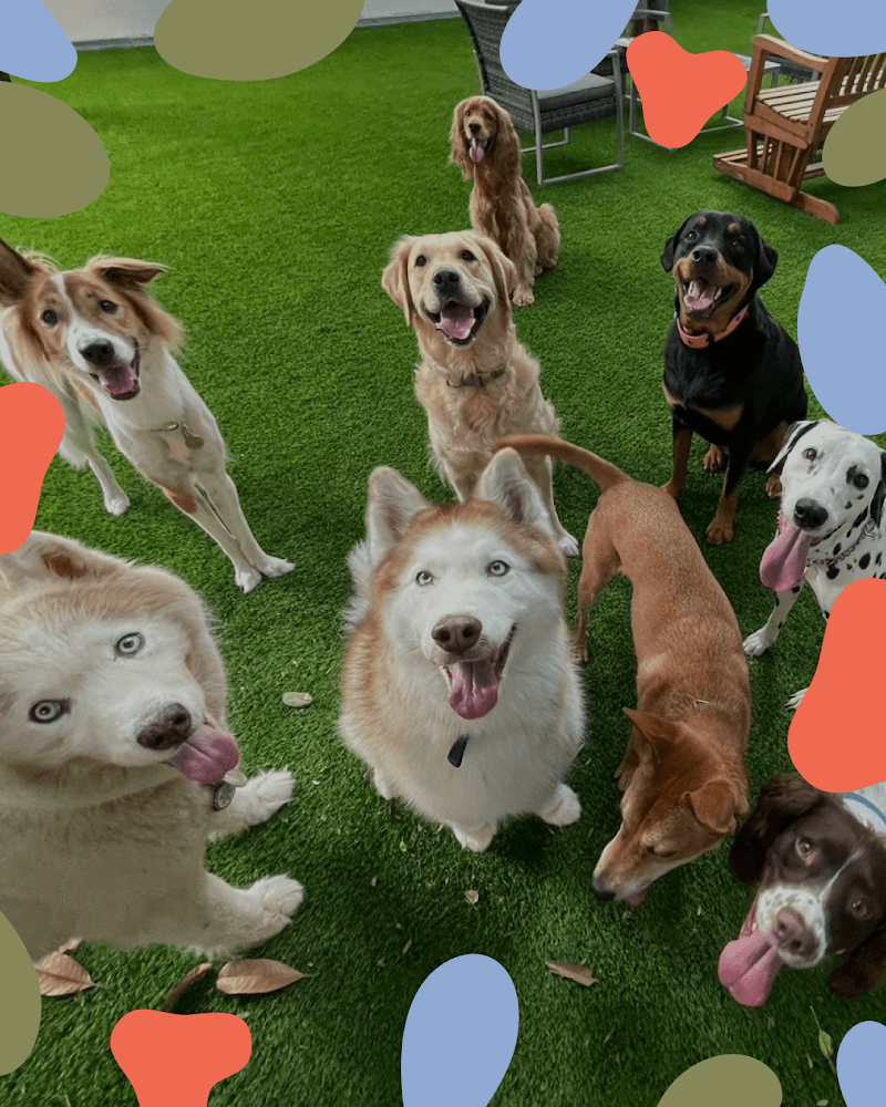 Paw House - Sukhumvit