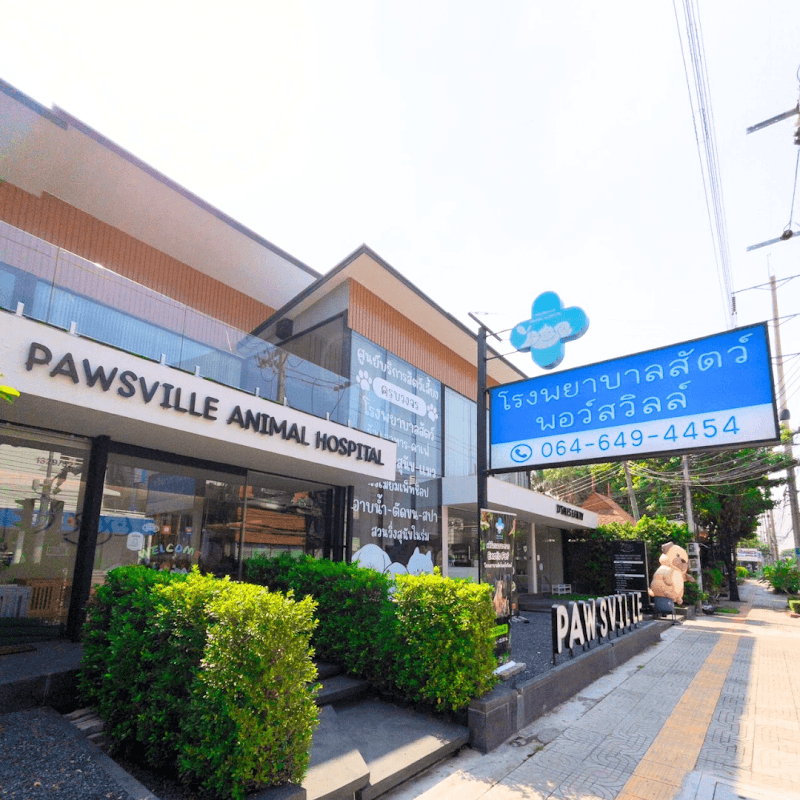 Pawsville Animal Hospital (โรงพยาบาลสัตว์ พอว์สวิลล์)