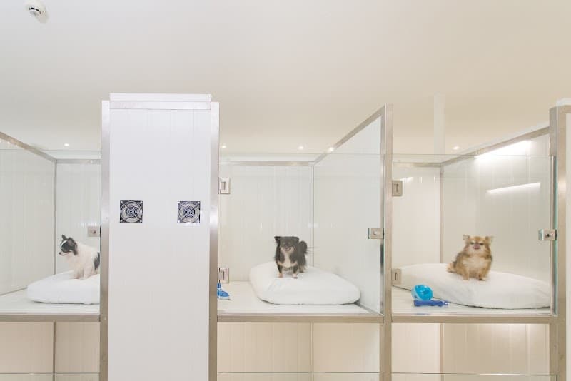 Pet Hotel Bangkok - Sukhumvit