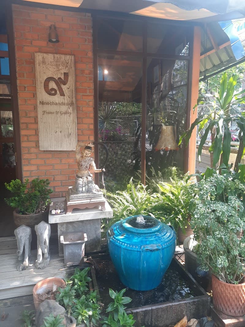 ร้านพืช Plant Shop