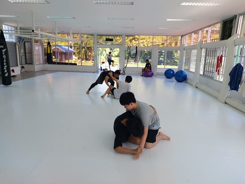 POM GYM BJJ & Muay Thai