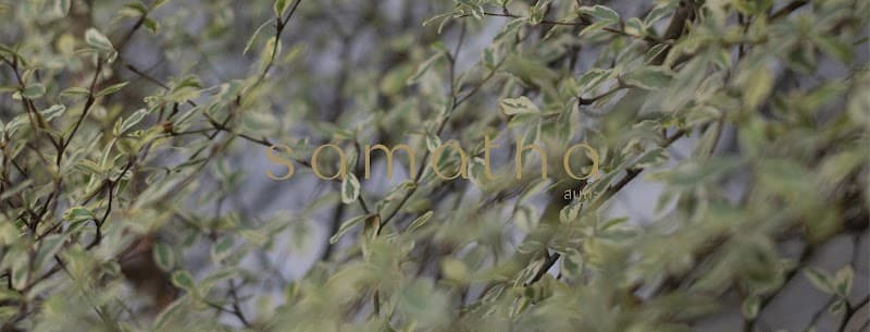 Samatha ( ส ม ถ ะ ) - Thai Massage