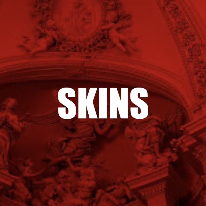 SKINS