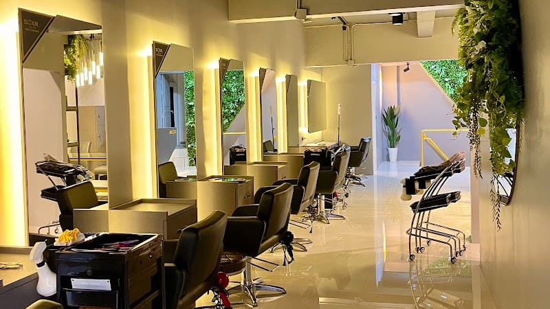 Soul Hair & Beauty Ekamai โซลโคเรียทาวน์