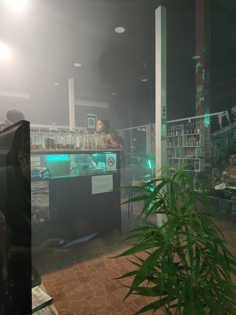 Stash BKK On Nut Cannabis shop Weed Kratom