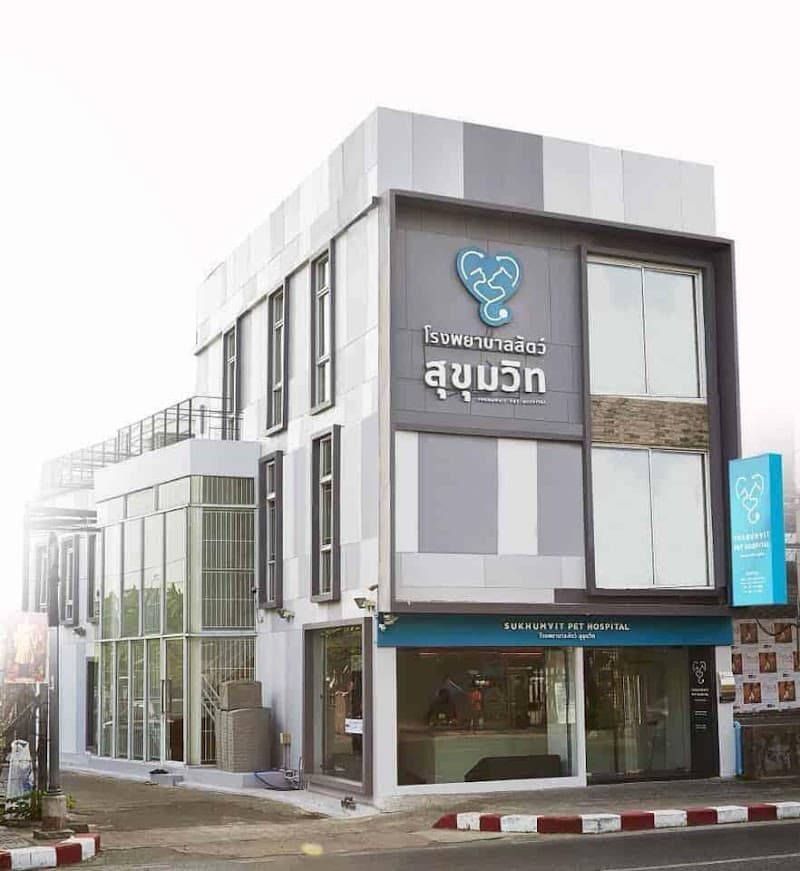 โรงพยาบาลสัตว์สุขุมวิท SUKHUMVIT PET HOSPITAL