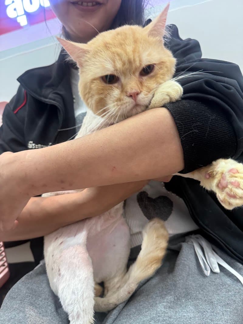 สุขสมัยแอนนิมอลแคร์ (สาขาเดอะพร้อมดินแดง) Suksamai Animal Care