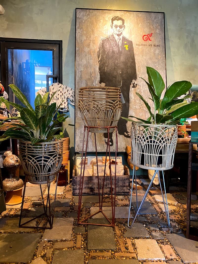 The Jungle on Ekamai