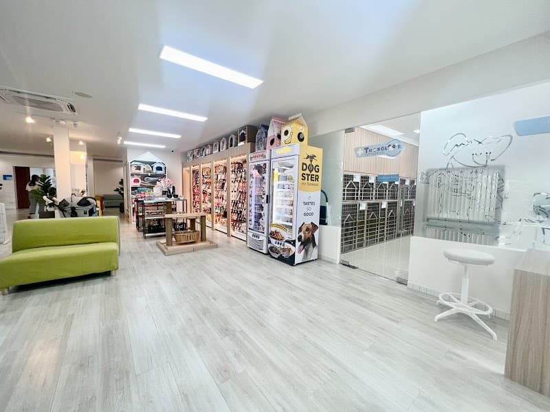 Thonglor Pet Hospital Rama 6 โรงพยาบาลสัตว์ ทองหล่อ พระราม 6