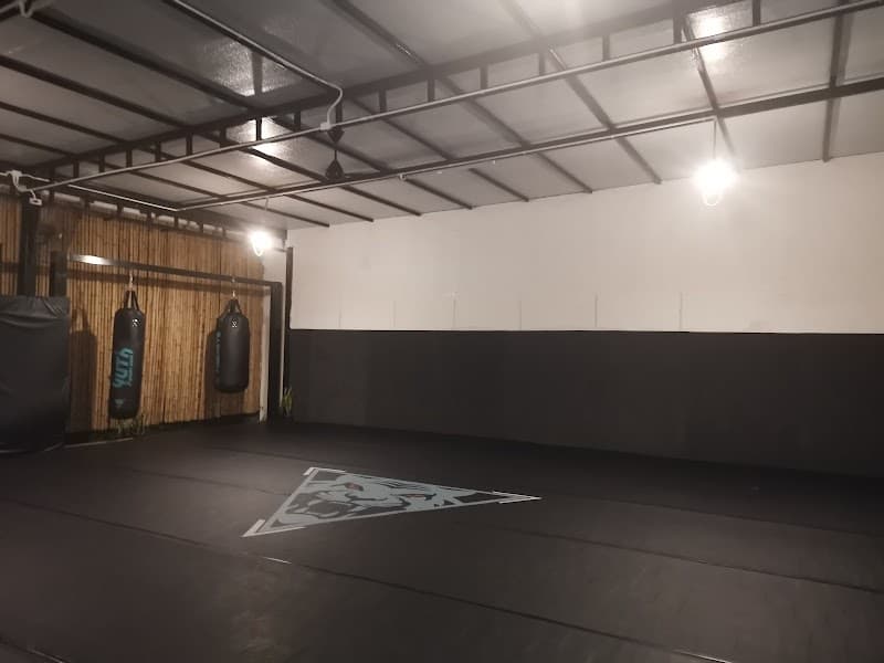 Tiger Eye Muay Thai and MMA