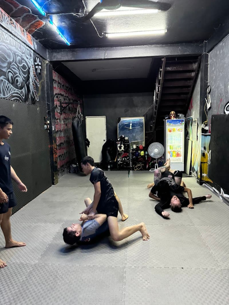 Valhalla mma gym
