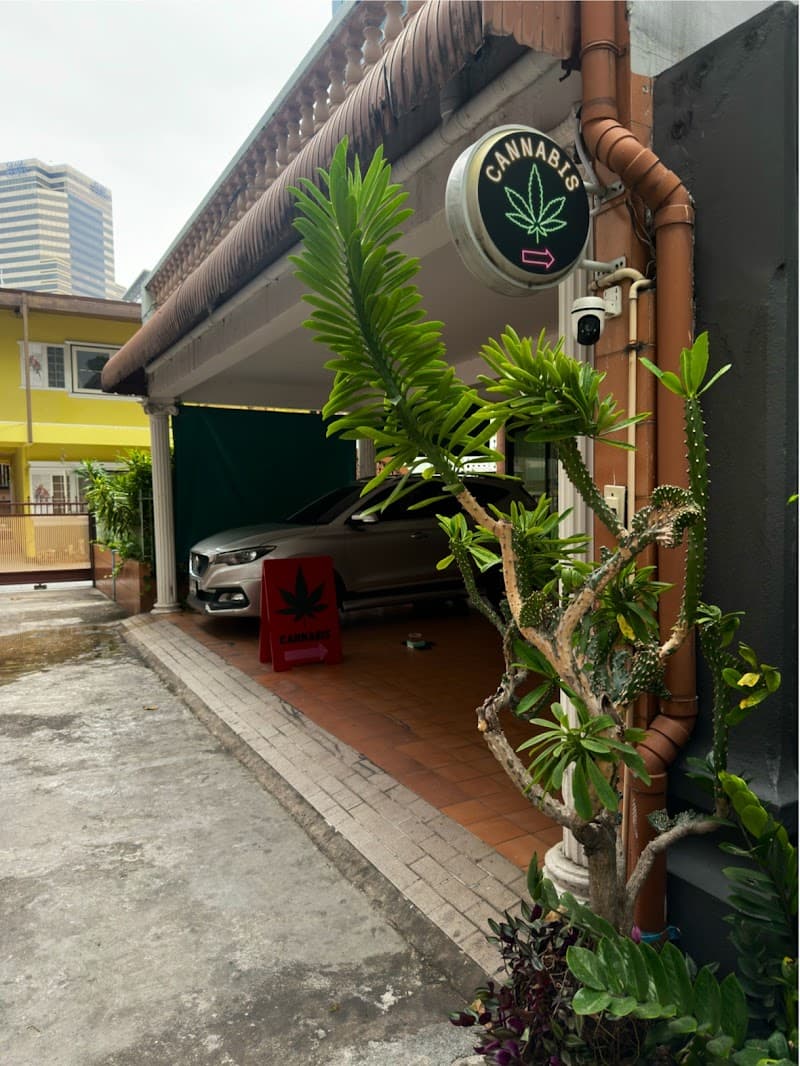 Weed Near Me BKK (Cannabis, марихуана, 大麻, กัญชา, CBD​ )credit payment, car park