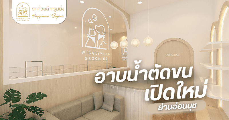 วิกกี้วิลล์ กรูมมิ่ง Wigglyville Grooming อ่อนนุช ร้านอาบน้ำตัดขนสุนัข แมว
