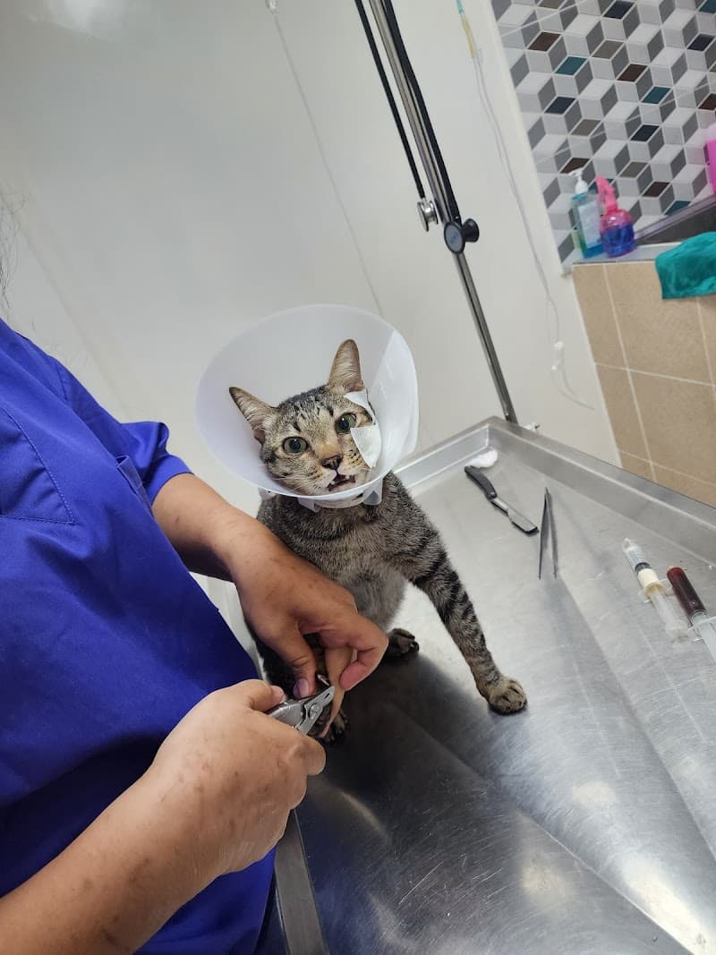 Wittawat Animal Clinic