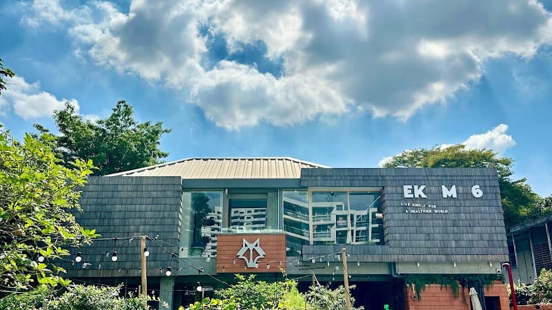 WOLF Wellness & Training