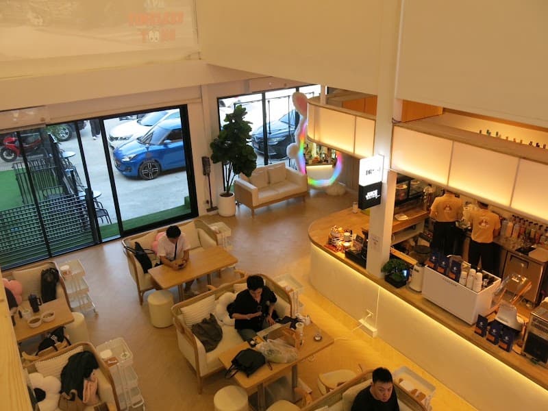 Zucca - The Pet Sanctuary & Cafe