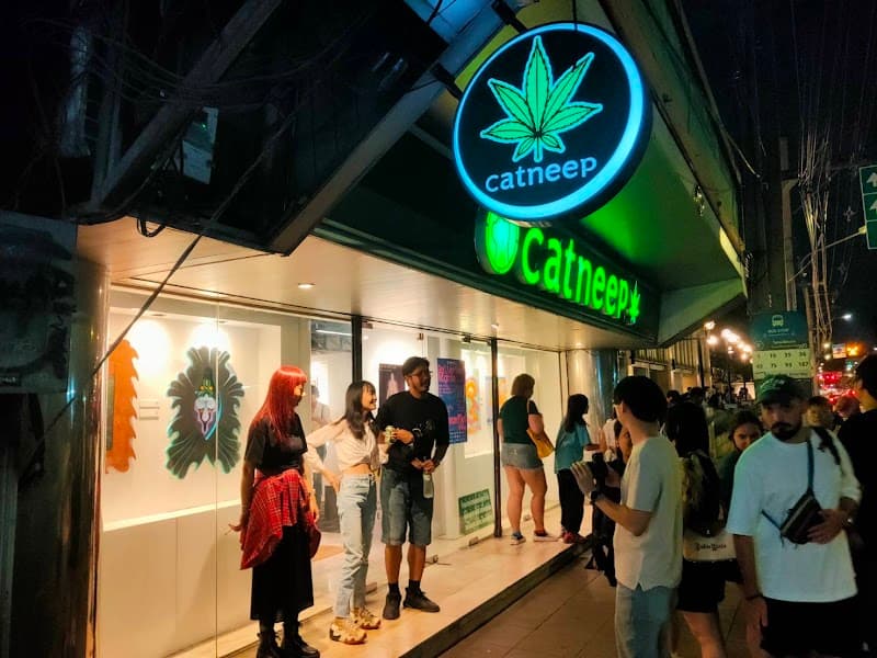 Catneep Cannabis Shop