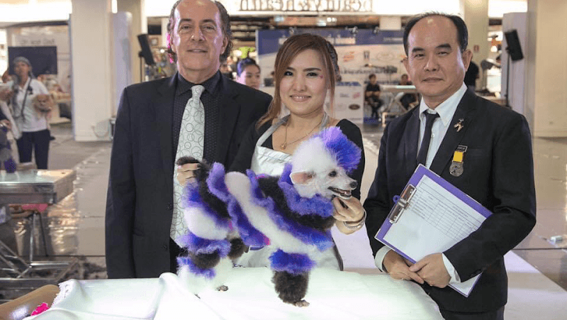 Dogglory petshop & grooming center อาบน้ำ ตัดขนสุนัข อาหาร อุปกรณ์สัตว์เลี้ยง