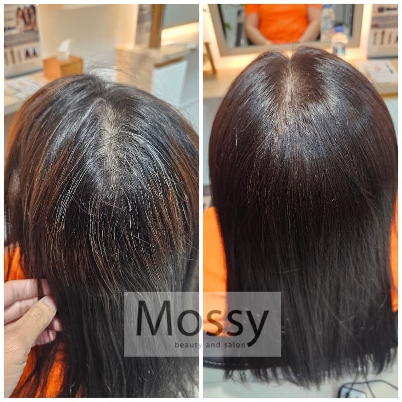 Mossy beauty and salon