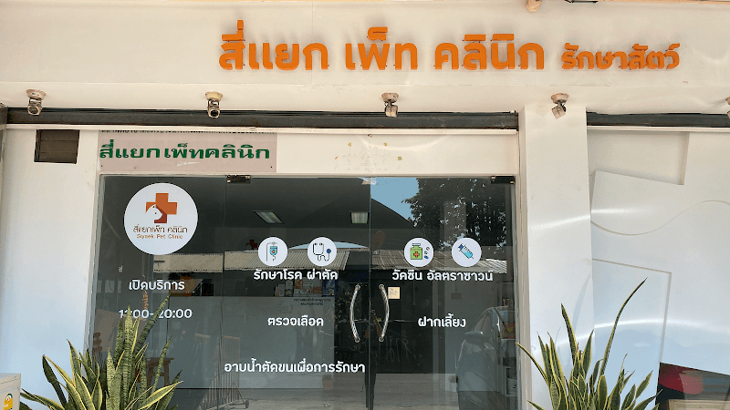 สี่แยกเพ็ทคลินิก Siyaek pet clinic