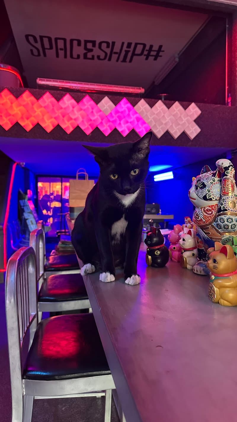 Spaceship (Cannabis Dispensary│Weed│Bar│大麻│กัญชา│Chinatown )